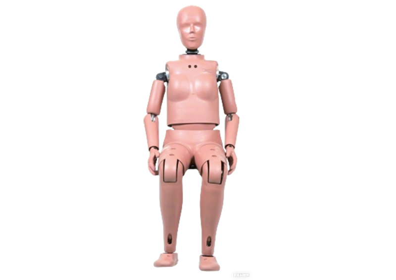 H305 Dummy