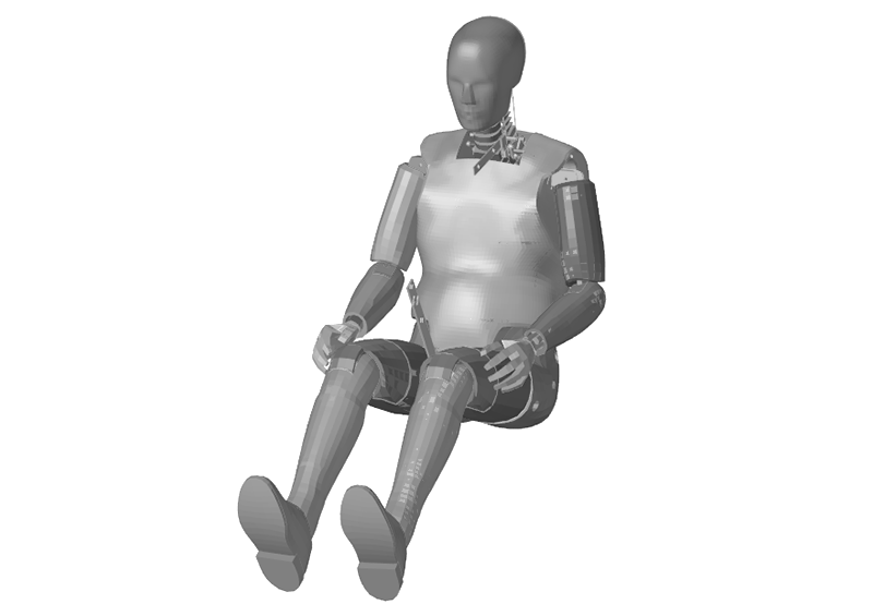 BioRID2 Dummy