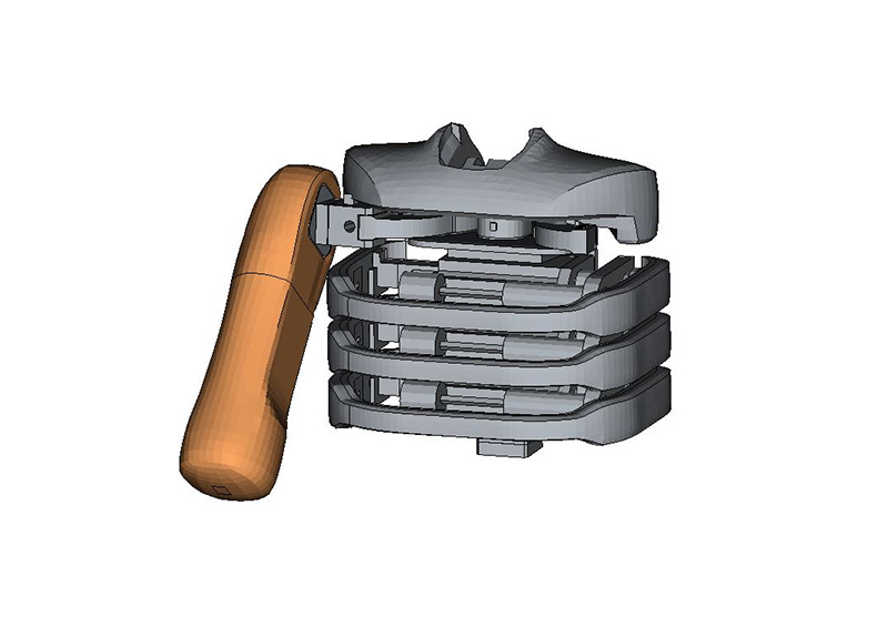 ES2-TIPT Model